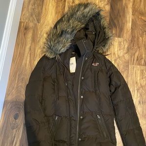 Hollister down parka